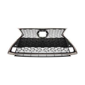 2021 LEXUS RC300 / RC350 Grille assy OEM# 5310024450 PL# LX1200232
